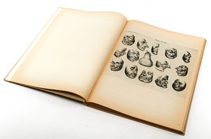 Daumier book